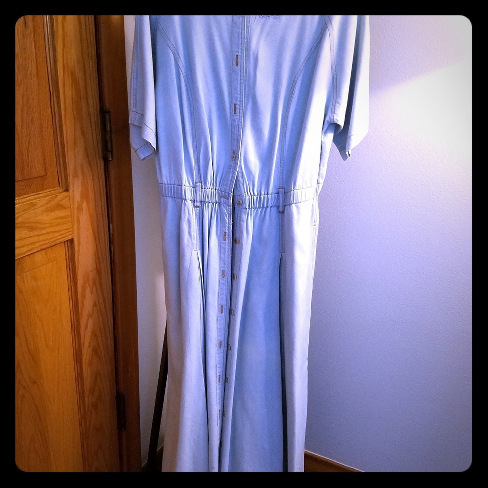 Denim maxi dress, short sleeves and button front.